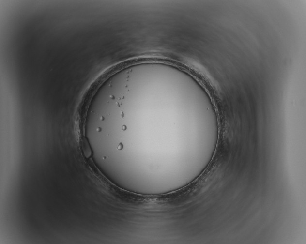 X0000101991360200808011053