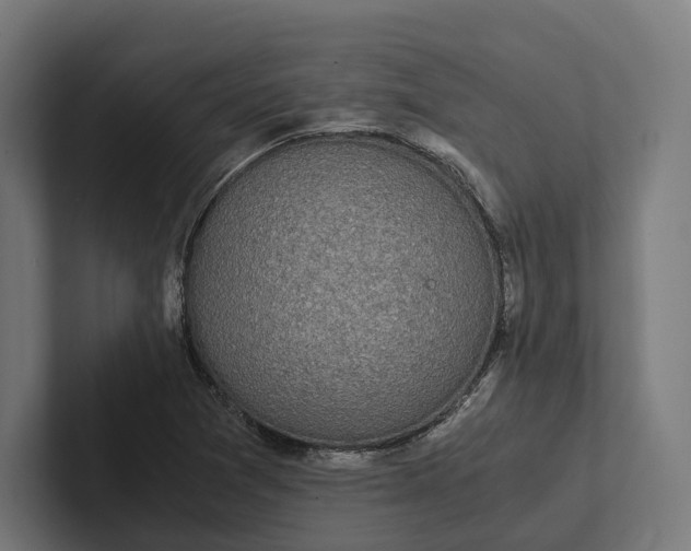 X0000101991361200808011052