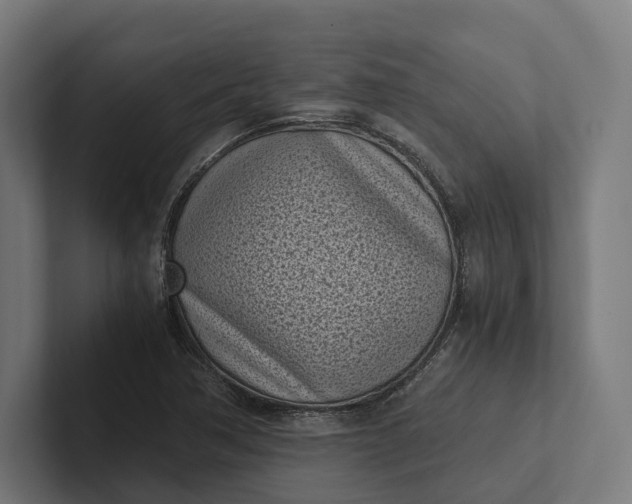 X0000101991362200808011052