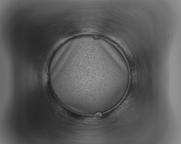 X0000101991363200808011052