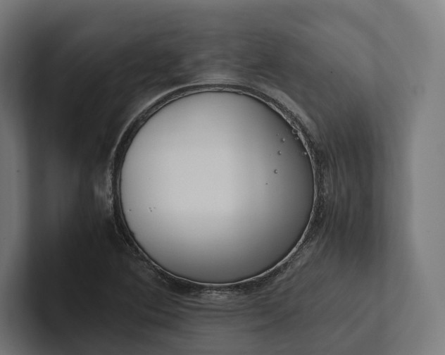 X0000101991364200808011052