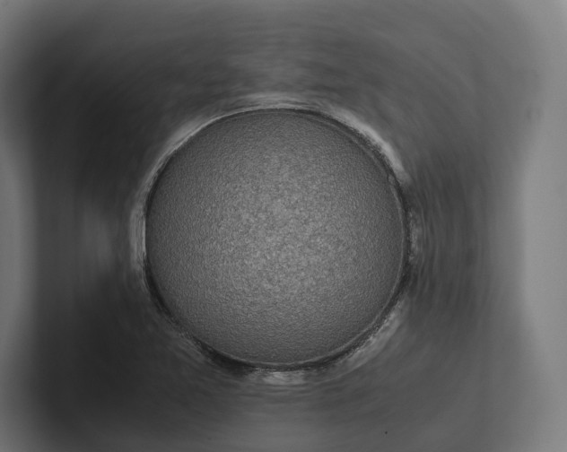 X0000101991365200808011052