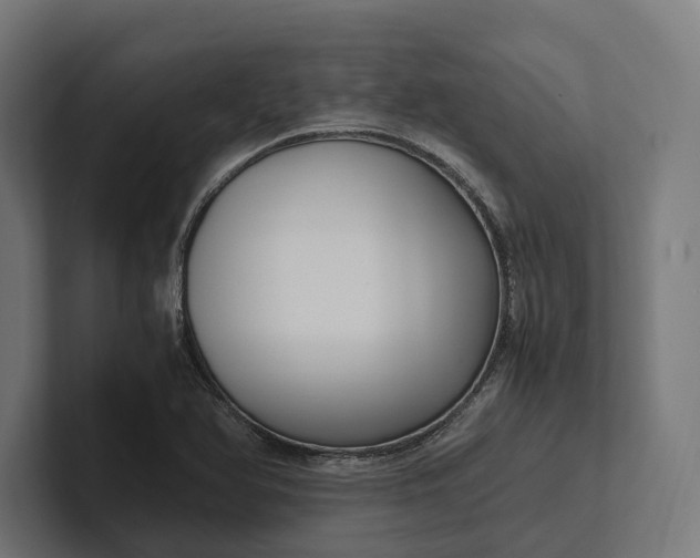 X0000101991366200808011052