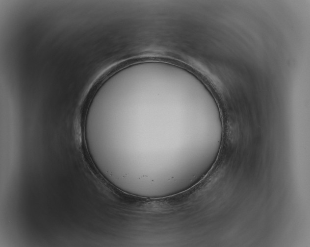 X0000101991368200808011052