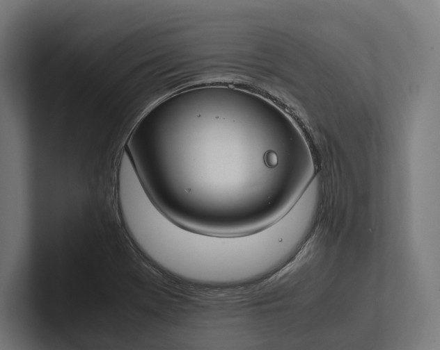 X0000101991369200808011052