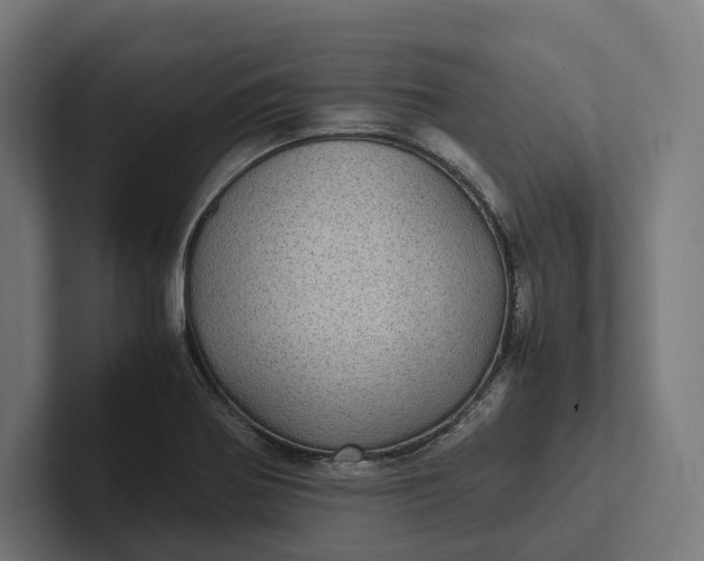 X0000101991370200808011052