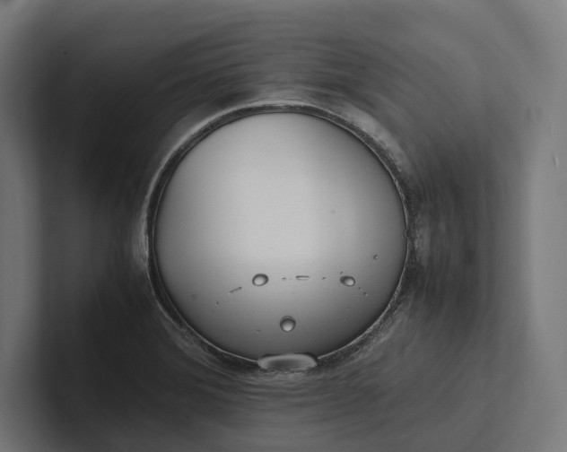 X0000101991372200808011052