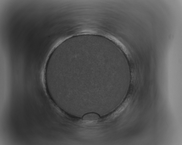 X0000101991373200808011052