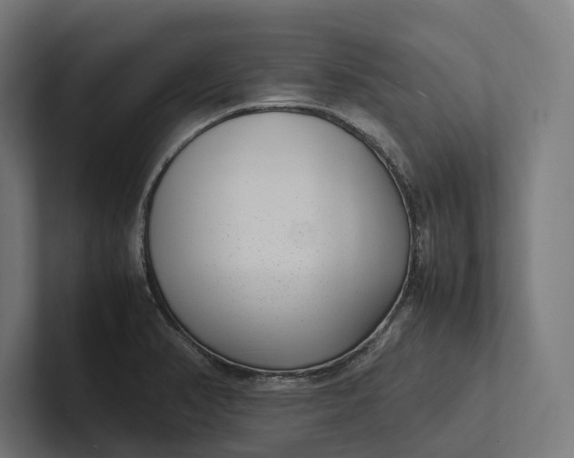 X0000101991374200808011052