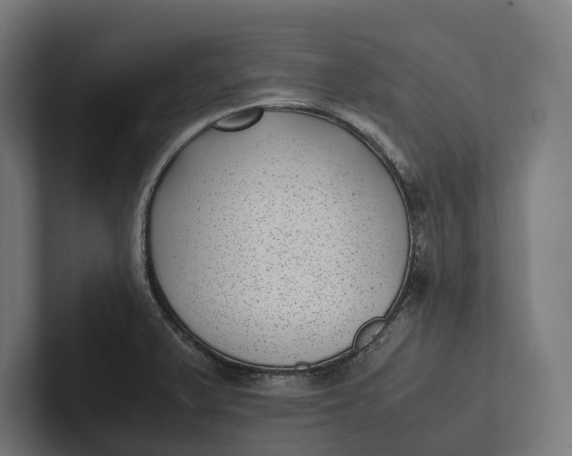 X0000101991375200808011052