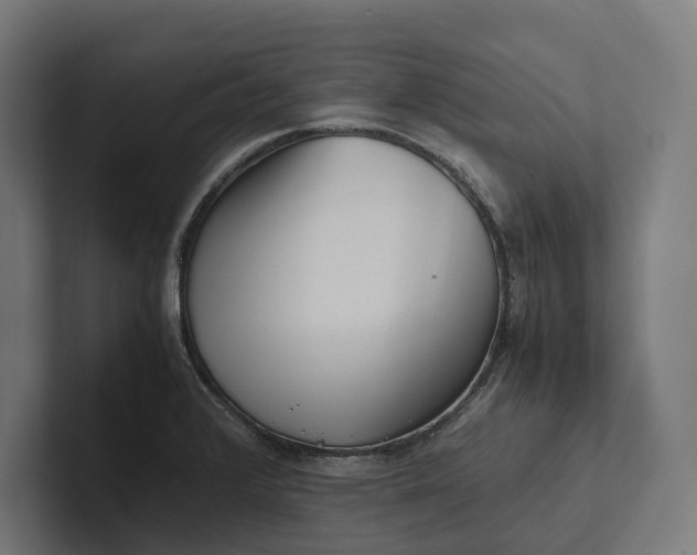 X0000101991376200808011052