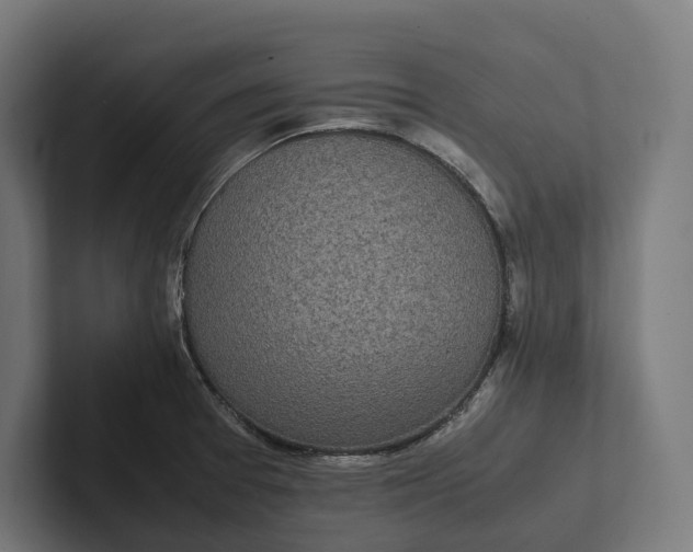 X0000101991377200808011052