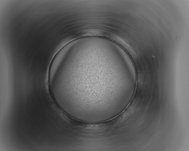 X0000101991378200808011052