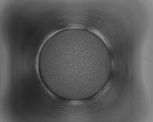 X0000101991379200808011052