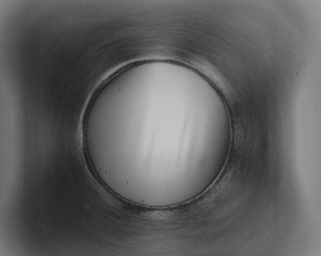 X0000101991380200808011052