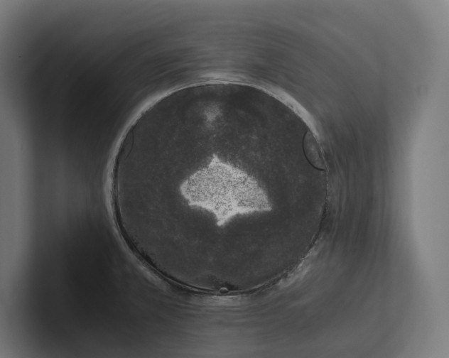 X0000101991381200808011052