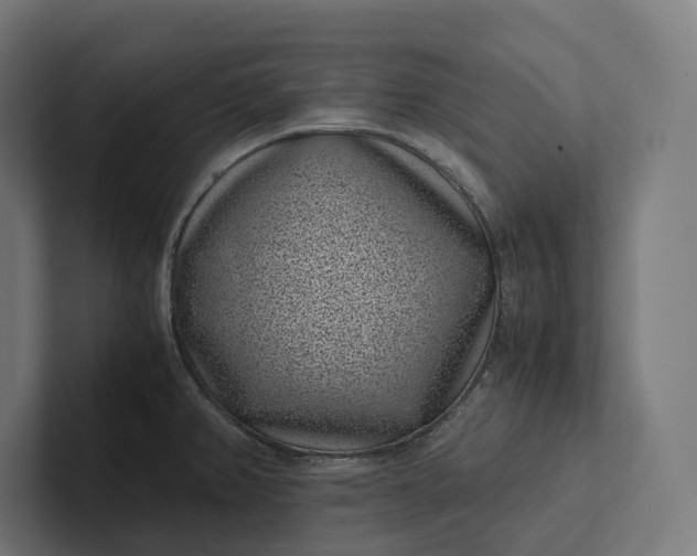 X0000101991382200808011052