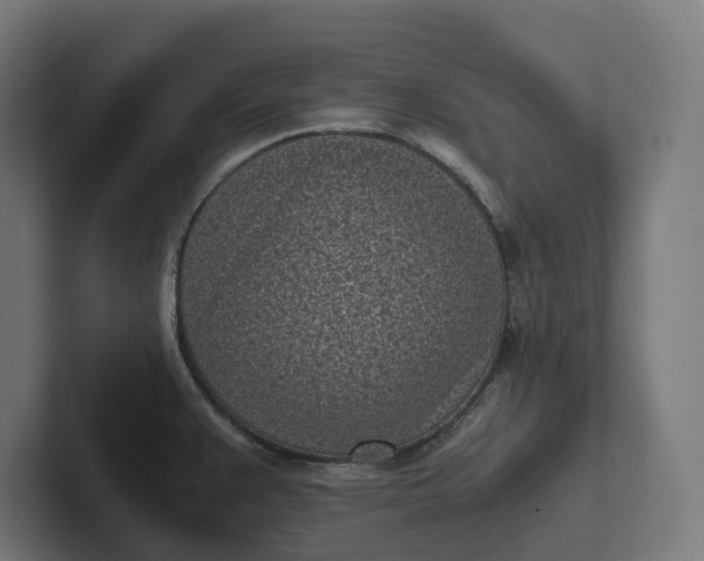 X0000101991383200808011052