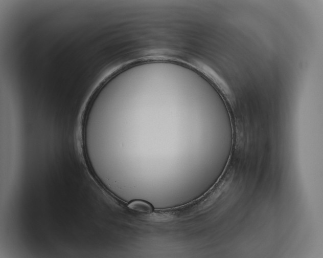 X0000101991384200808011052