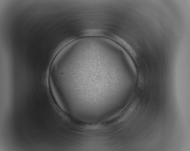 X0000101991386200808011052