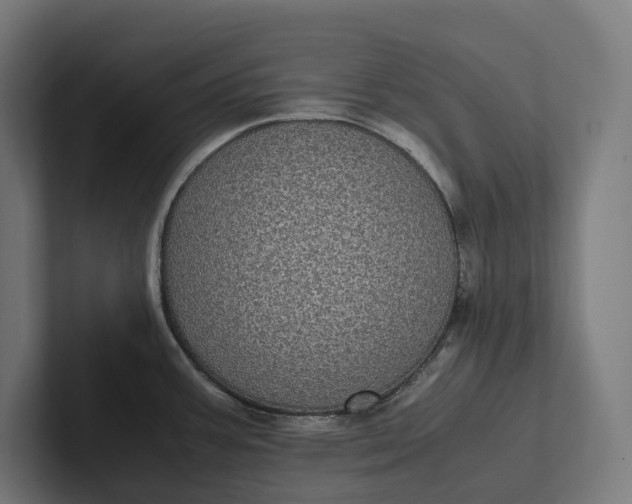 X0000101991387200808011052