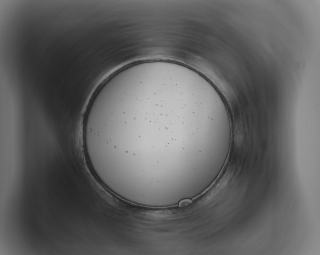 X0000101991388200808011052