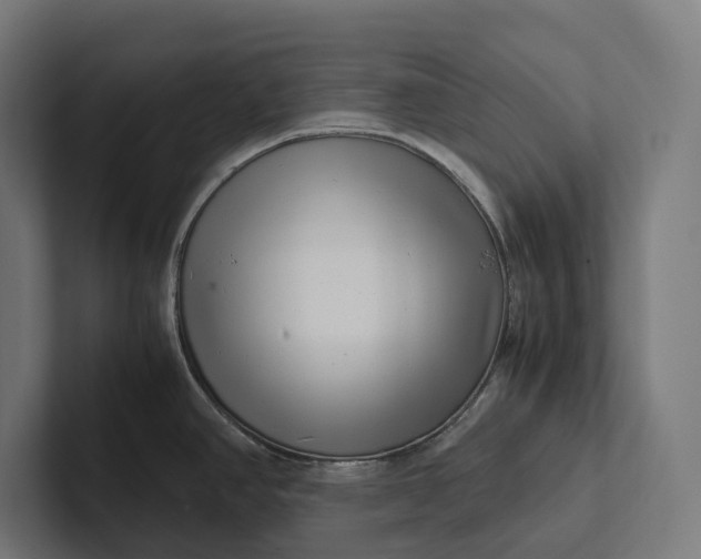 X0000101991390200808011052