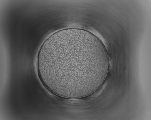 X0000101991391200808011052