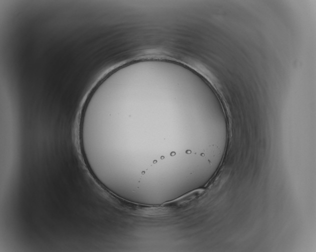 X0000101991392200808011052