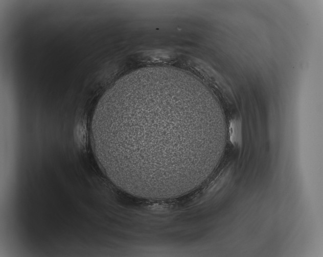 X0000101991395200808011051