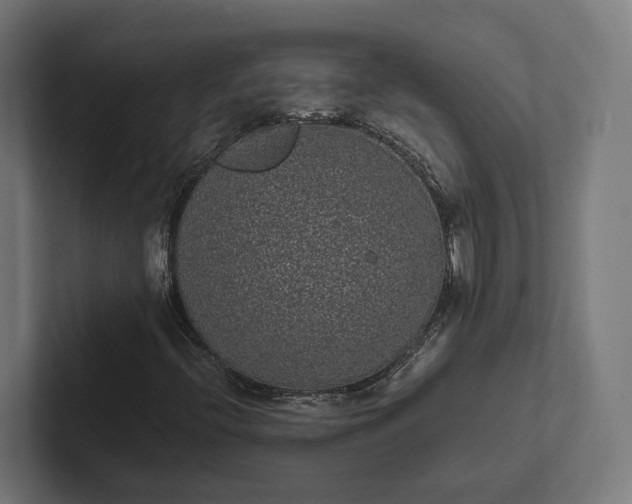 X0000101991396200808011051