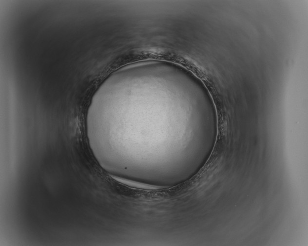 X0000101991397200808011052