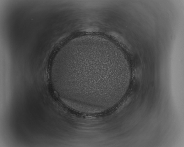 X0000101991398200808011052