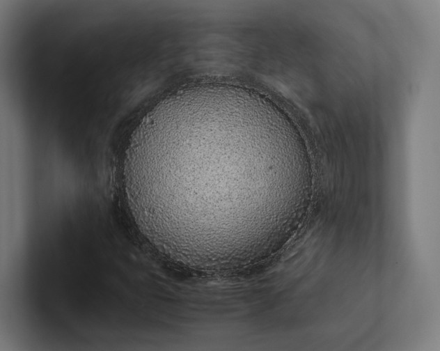 X0000101991399200808011052