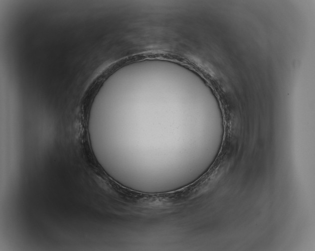 X0000101991400200808011052