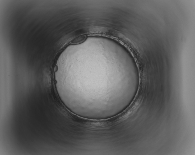 X0000101991401200808011052