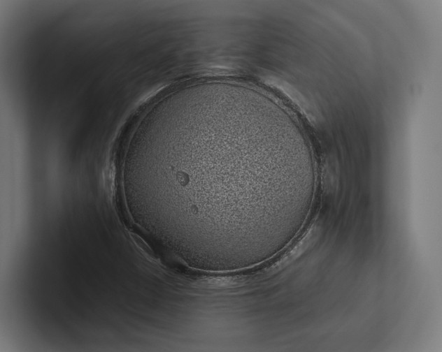 X0000101991402200808011052