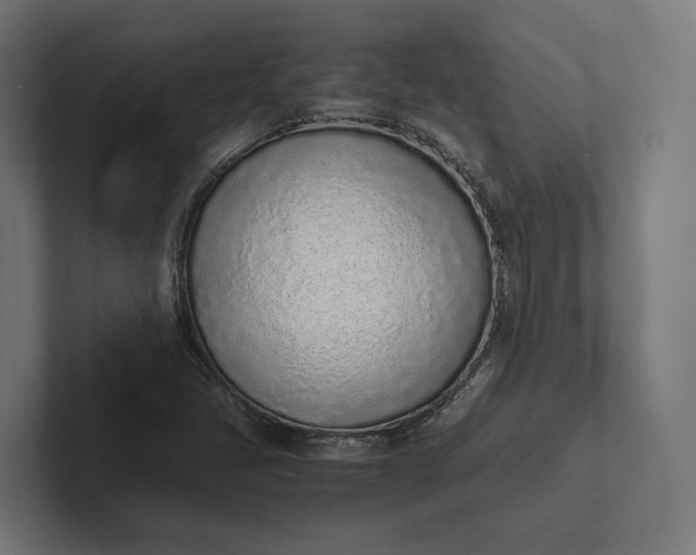 X0000101991405200808011052