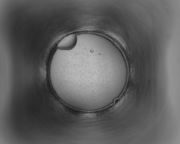 X0000101991406200808011052