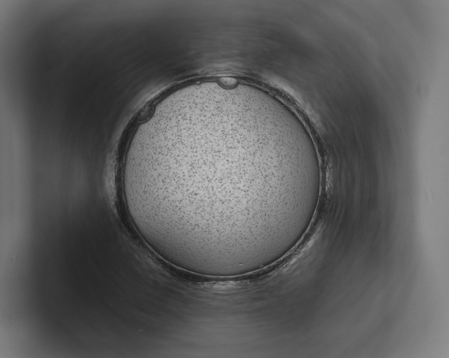 X0000101991410200808011052