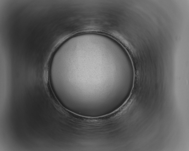 X0000101991413200808011052