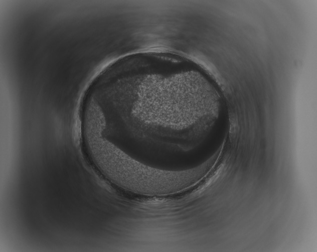 X0000101991414200808011052