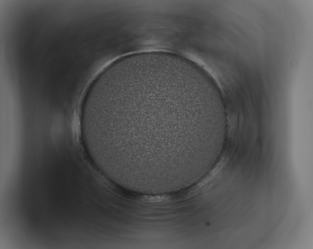 X0000101991415200808011052