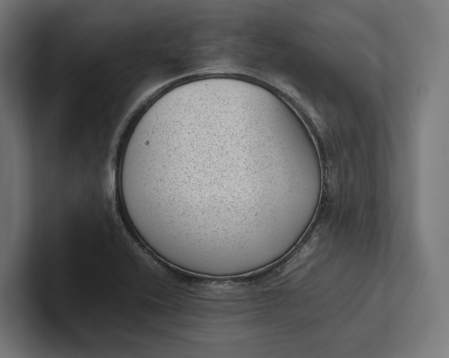 X0000101991416200808011052