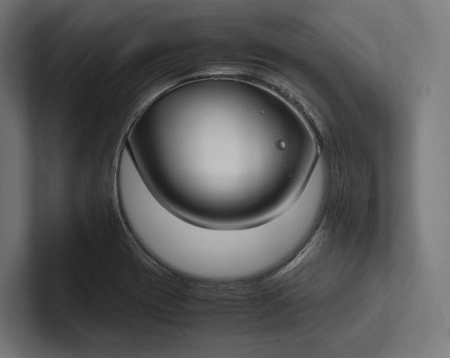 X0000101991417200808011052