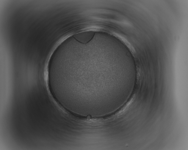 X0000101991418200808011052