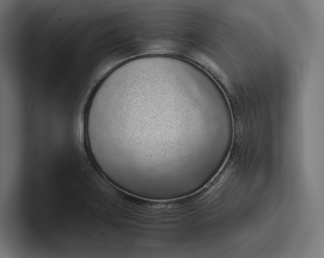 X0000101991419200808011052