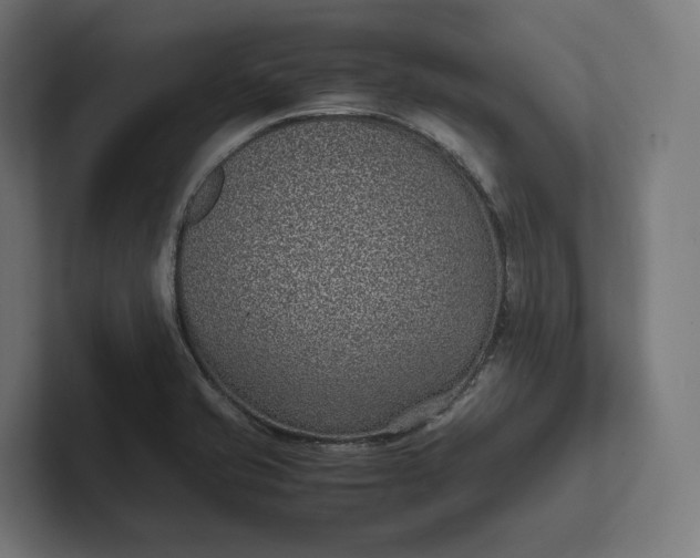 X0000101991421200808011052