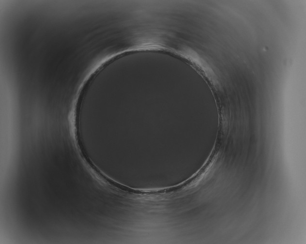 X0000101991422200808011052