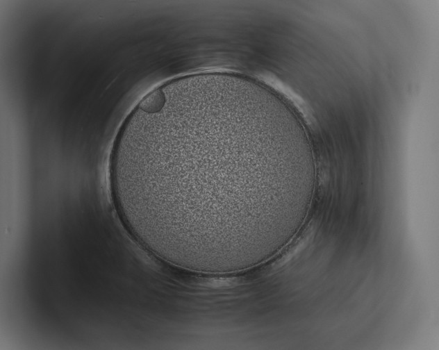 X0000101991423200808011052